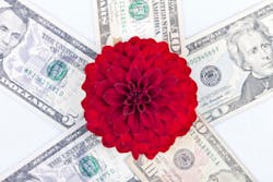 Dreamstime M 135068525 5d714e31b0d70 Dreamstime M 135068525 5d714e31b0d70