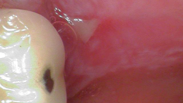 19 Oct24 B Cpath43dx02 5daa2fa92c6c1