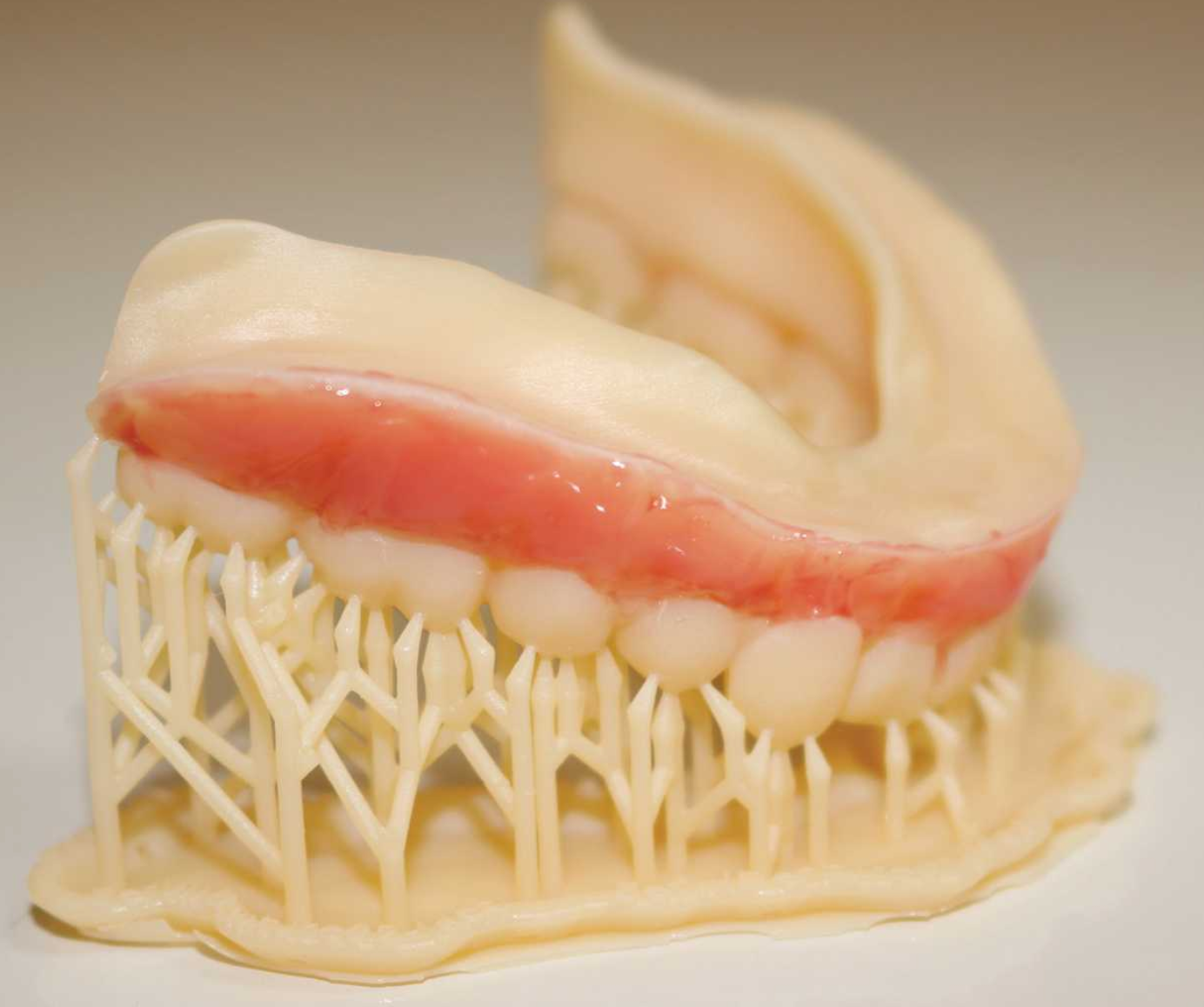 Screen Shot 2019 10 03 At 10 50 02 Am 5d9619d38f7f0