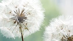 Dreamstime Xxl 14077686 Dreamstime Xxl 14077686