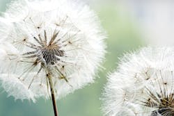 Dreamstime Xxl 14077686 5dae01d95420b Dreamstime Xxl 14077686 5dae01d95420b