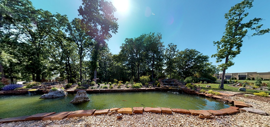 The koi pond located outside of the offices of Grove Dental Associates.