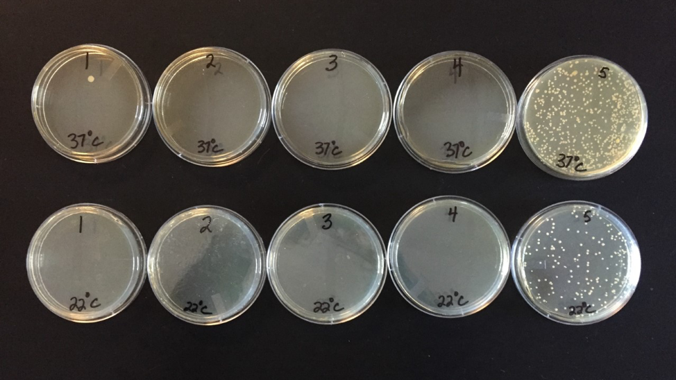 Nichols Utility Gloves Primary2 5dcb254f93843