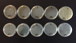 Nichols Utility Gloves Primary2 5dcb254f93843 Nichols Utility Gloves Primary2 5dcb254f93843