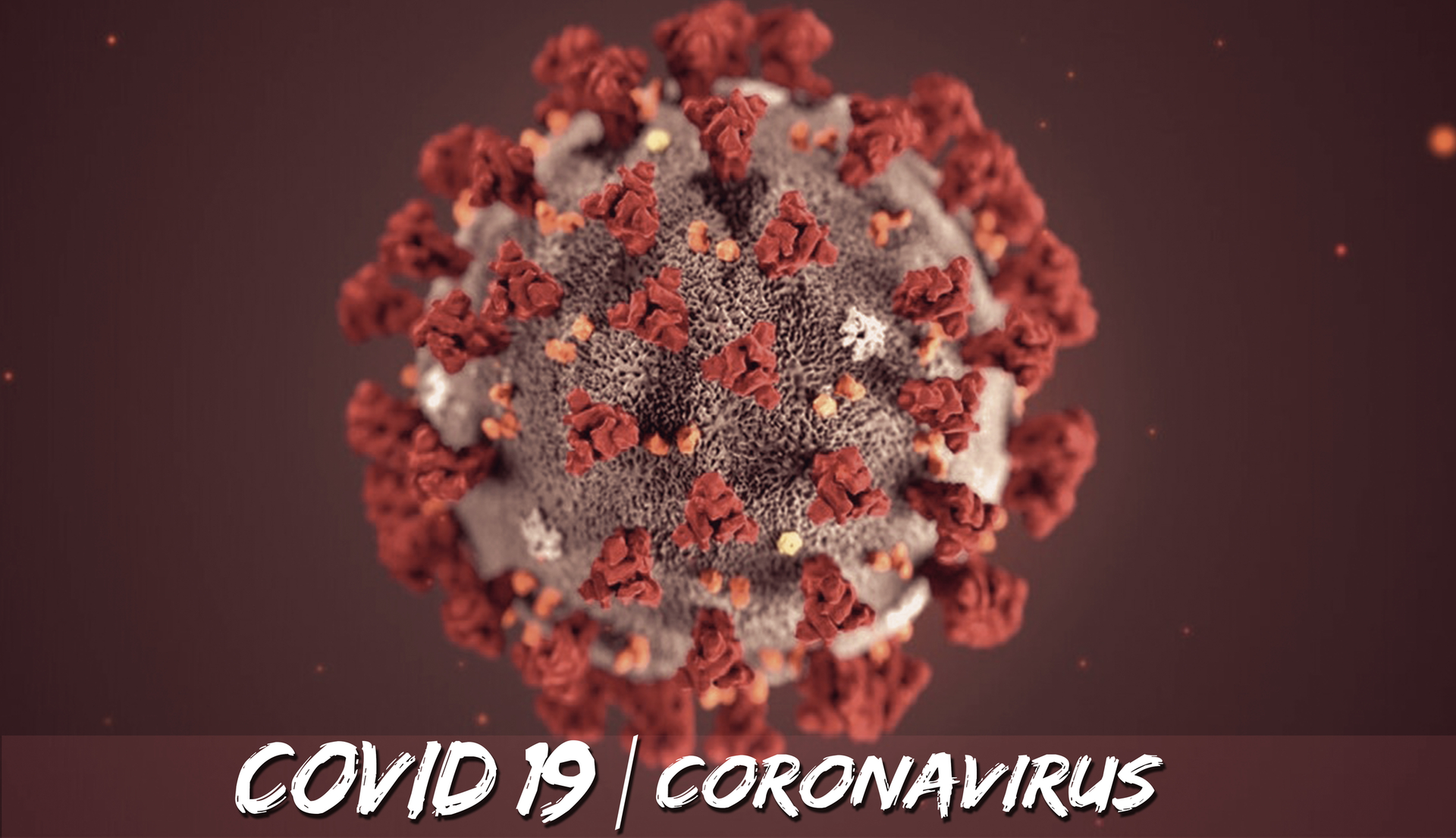 Coronavirus 5e69203433a80