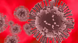 Copyright Theo Gottwald Dreamstime Coronavirus