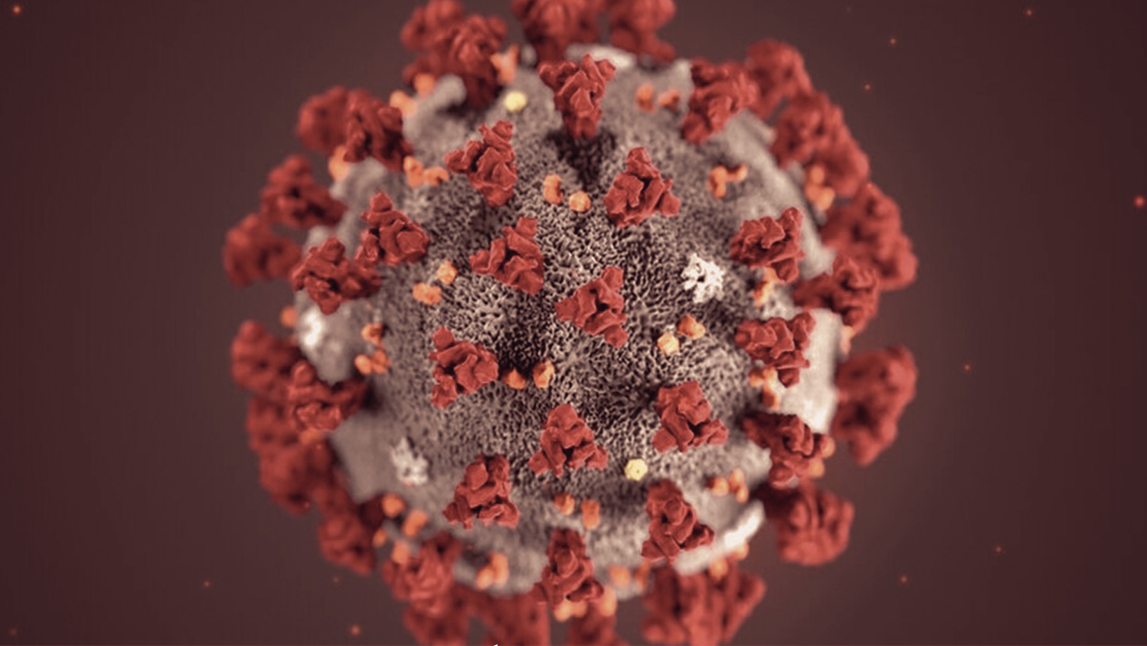 Coronavirus 5eb462537eb8c