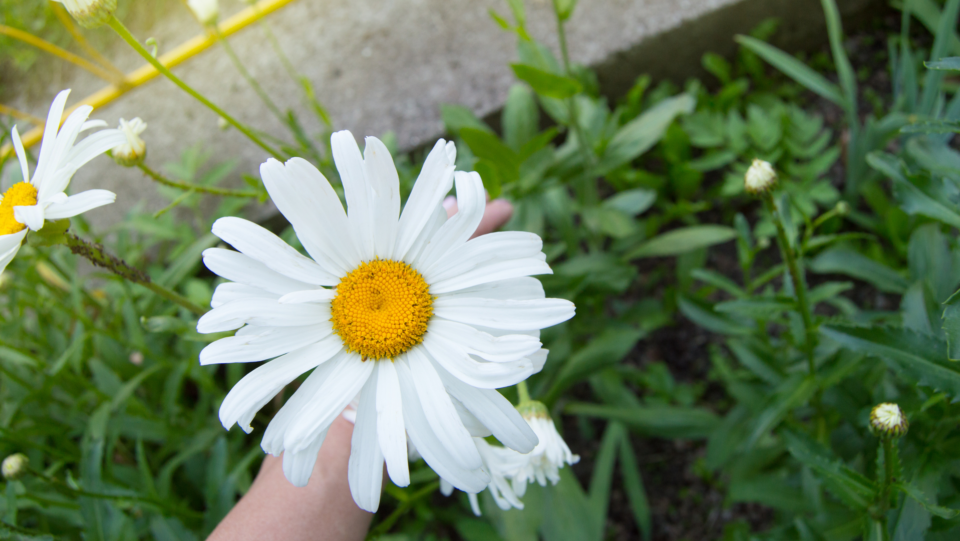 Dreamstime M 156401680 5eceaf297dc54