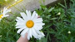 Dreamstime M 156401680 5eceaf297dc54 Dreamstime M 156401680 5eceaf297dc54