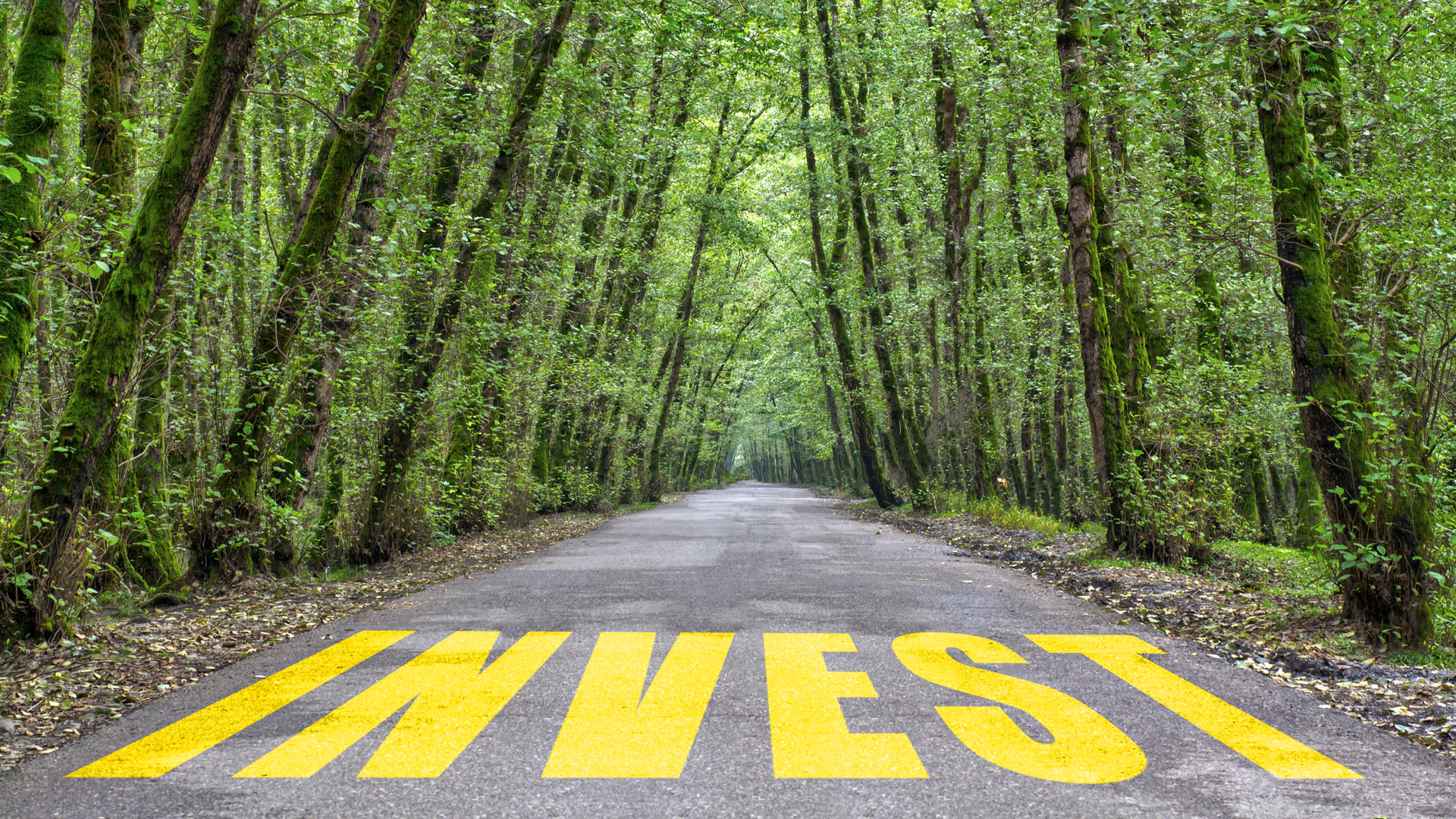 Invest 5eea7a7e76732