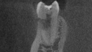 16 Aug4 B Csimmons02 5f04b7cf11bc2