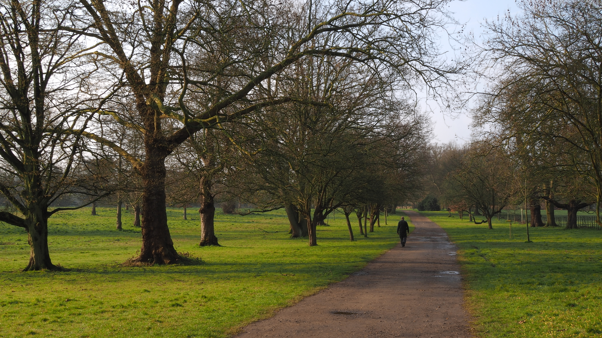 Walk In Park 5f18878555290