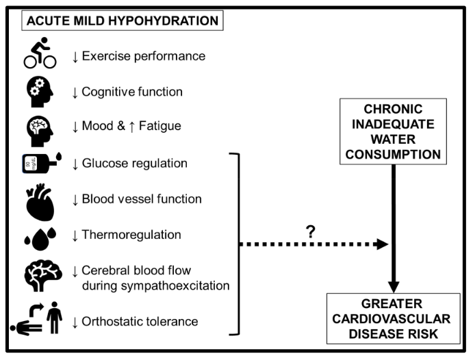 The impact of COVID-19 PPE on dental professionals and dehydration | DentistryIQ The impact of COVID-19 PPE on dental professionals and dehydration | DentistryIQ