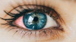 2009 De Cwin P04 5f3aba2f53e0a 2009 De Cwin P04 5f3aba2f53e0a