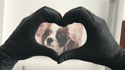 Carbon Nitrile Gloves 5f69162f9ccce Carbon Nitrile Gloves 5f69162f9ccce