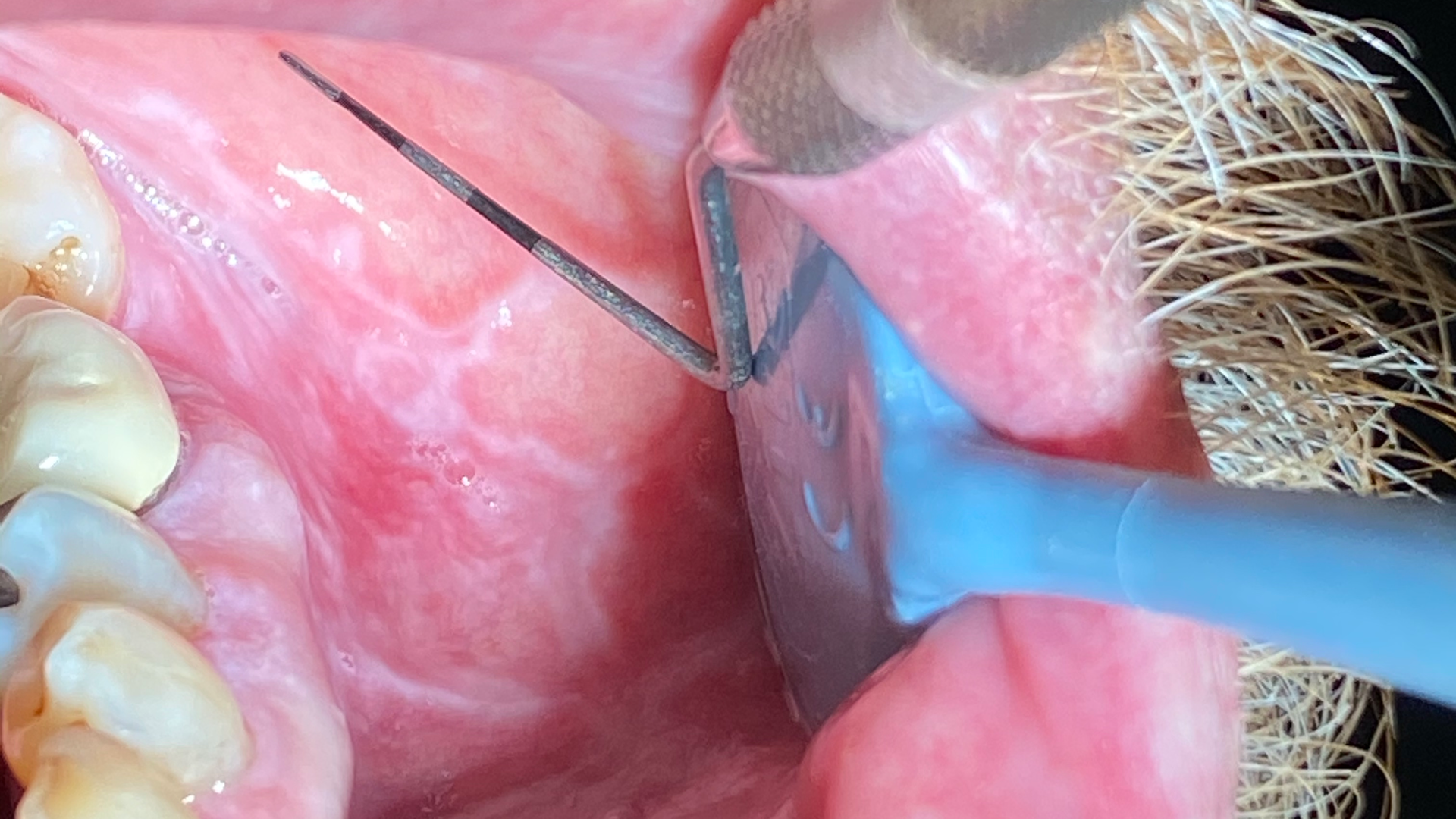 Img 9603 5f58f7890655d