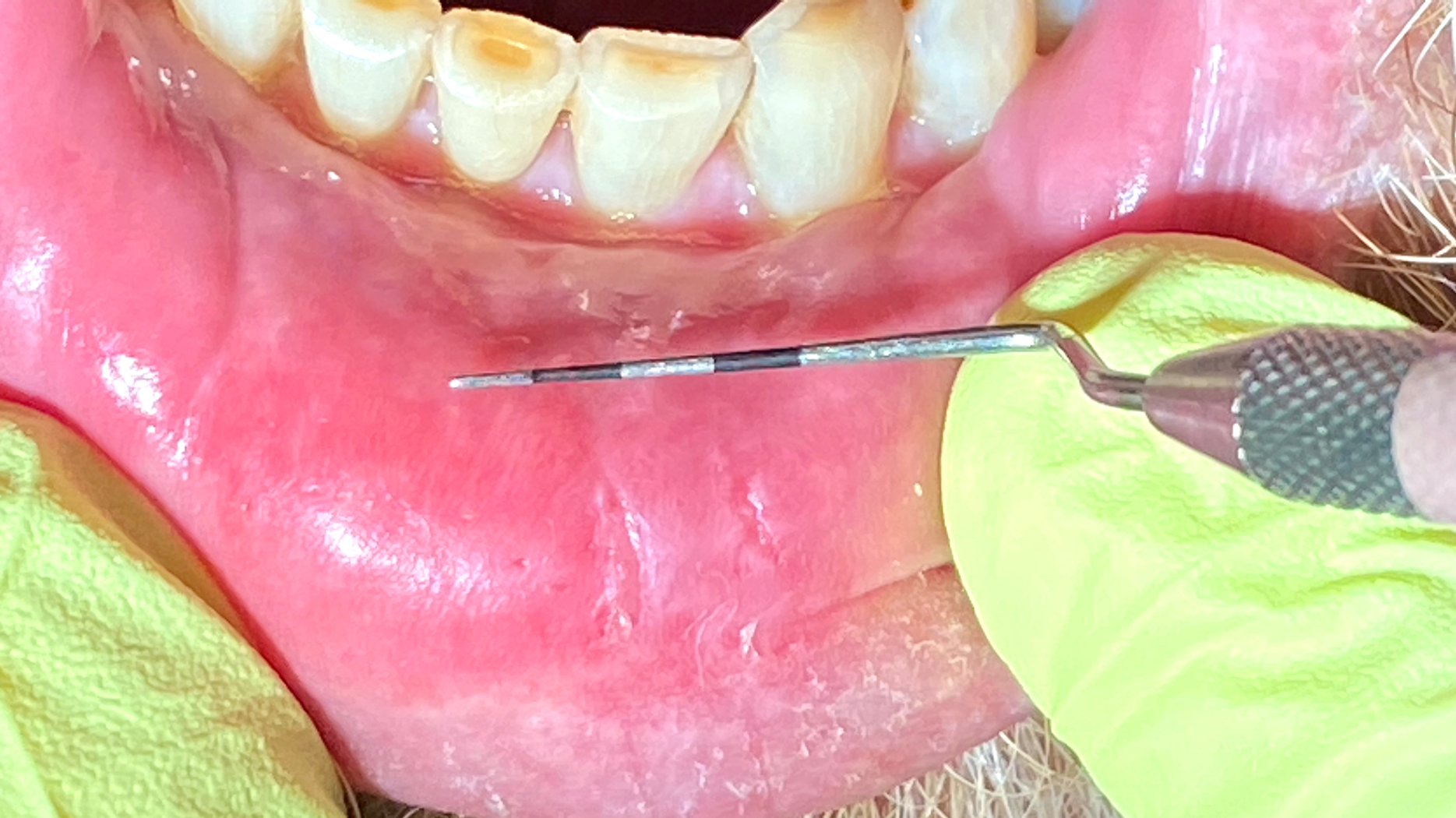 Img 9605 5f69015a1969b