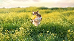 Dreamstime Xxl 111139162 Dreamstime Xxl 111139162