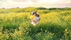 Dreamstime Xxl 111139162 5f68b6d9d3cea Dreamstime Xxl 111139162 5f68b6d9d3cea