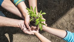 Circlephoto Dreamstime Hands And Planting