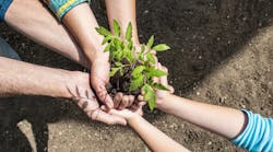 Circlephoto Dreamstime Hands And Planting