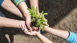 Circlephoto Dreamstime Hands And Planting 5f7dff413bea5 Circlephoto Dreamstime Hands And Planting 5f7dff413bea5