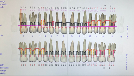 Photo courtesy of Pamela Maragliano-Muniz, DMD