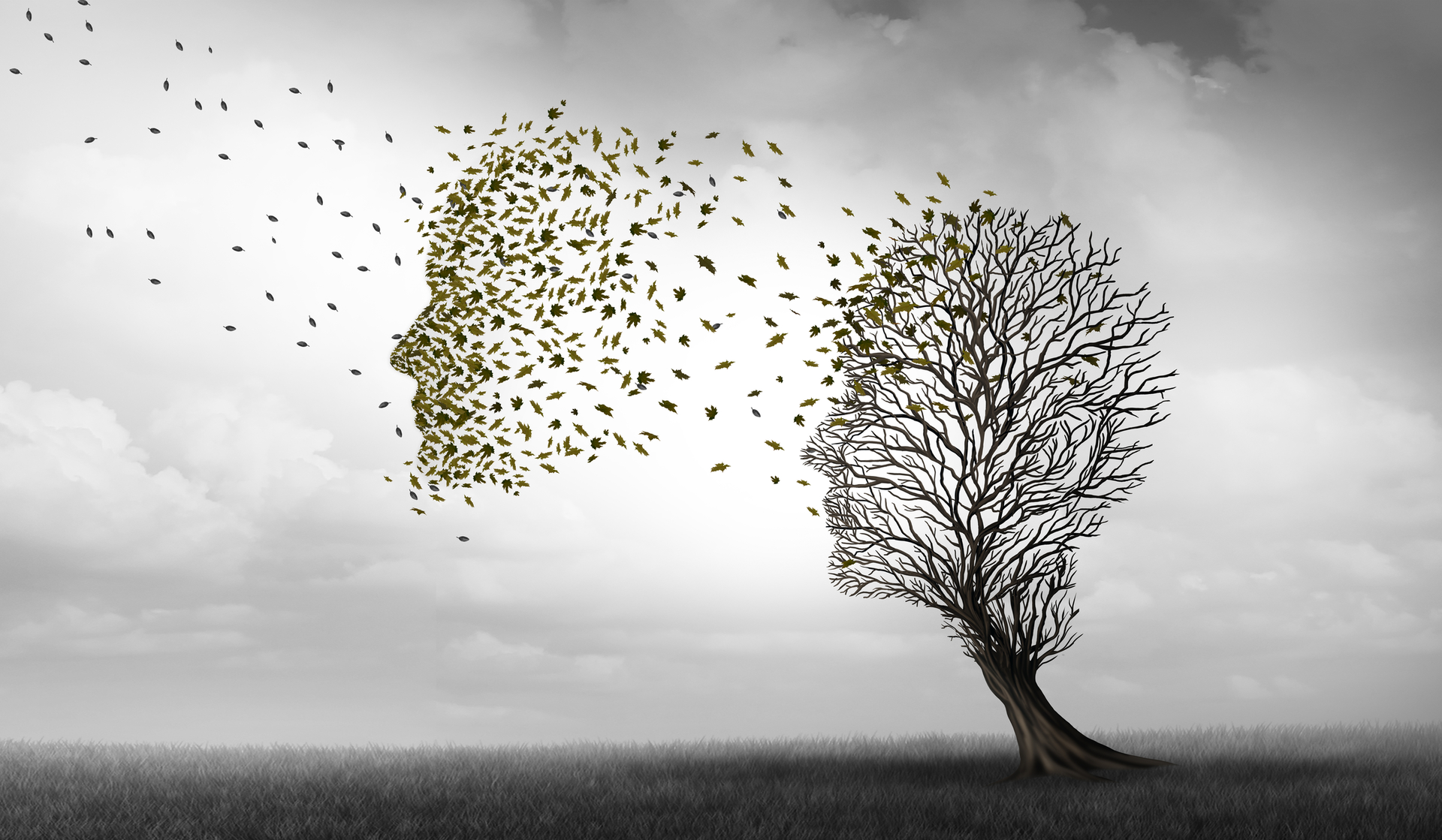 Dementia 5f90ad624ce89