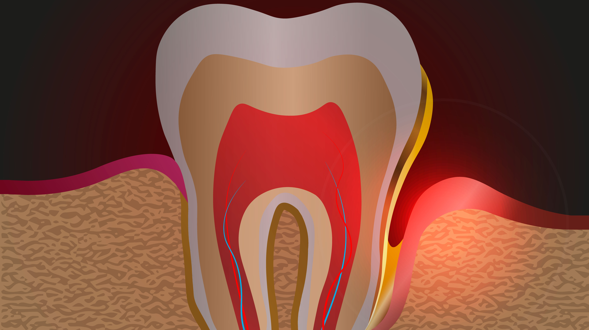 Dreamstime Xxl 180037887 5f8f62fa2bd33