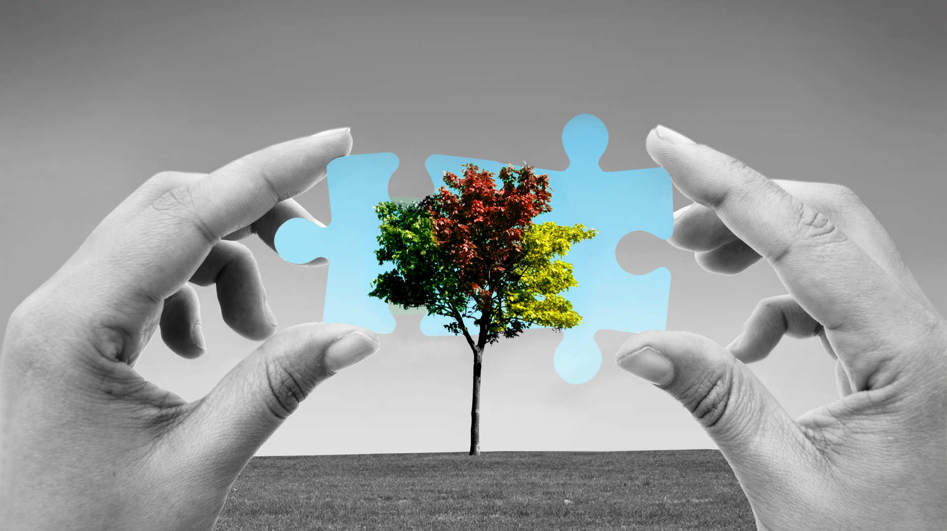 Transition 5fa468e54a2d4