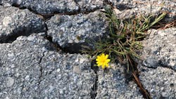 Dreamstime M 195218864 5fda755451a4b Dreamstime M 195218864 5fda755451a4b