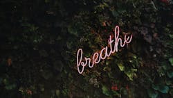 Tim Goedhart Vnp T Rdmt Q30 Unsplash 5fc802903782a Tim Goedhart Vnp T Rdmt Q30 Unsplash 5fc802903782a