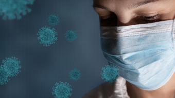 Cherriesjd Dreamstime Virus