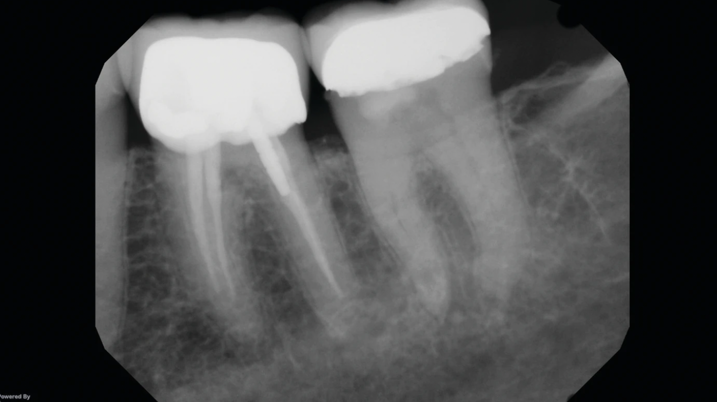 Screen Shot 2021 01 26 At 9 16 08 Am 60103246219f6