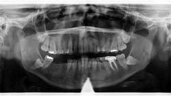 T Kellog Ll Ro 608c293c31c40 T Kellog Ll Ro 608c293c31c40