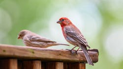 Dreamstime Xxl 148744590 60f1c482d2d25 Dreamstime Xxl 148744590 60f1c482d2d25