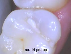 Fig4 Fig4