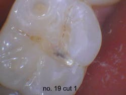 Fig8 Fig8