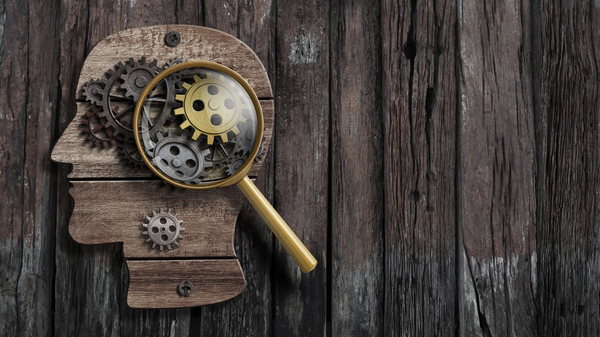 Dreamstime Xxl 85553737 61411c20838f0