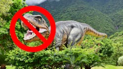 Untitled Design 19 62bf2a3350484 Untitled Design 19 62bf2a3350484