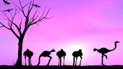 Dreamstime Xxl 56860714 62f2cdd2bfefa Dreamstime Xxl 56860714 62f2cdd2bfefa