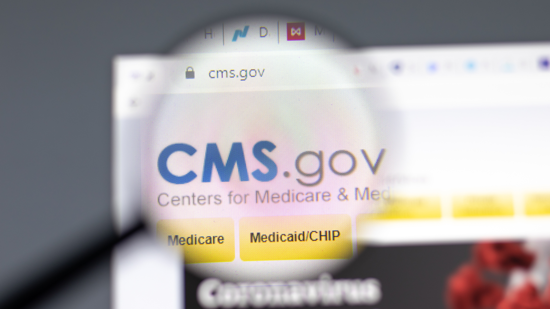 Dreamstime M 210773099 6318b0654a00c