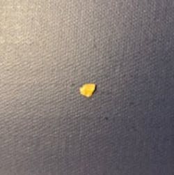 Figure 5: Popcorn kernel Figure 5: Popcorn kernel