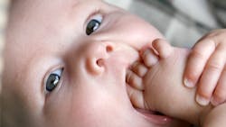 Dreamstime Xl 5838992 6359760b2ffd1 Dreamstime Xl 5838992 6359760b2ffd1