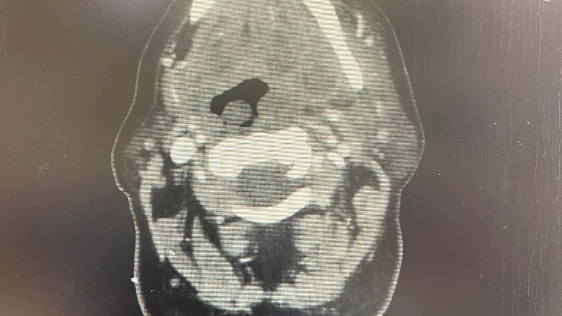 Img 0118 636c206b7968c