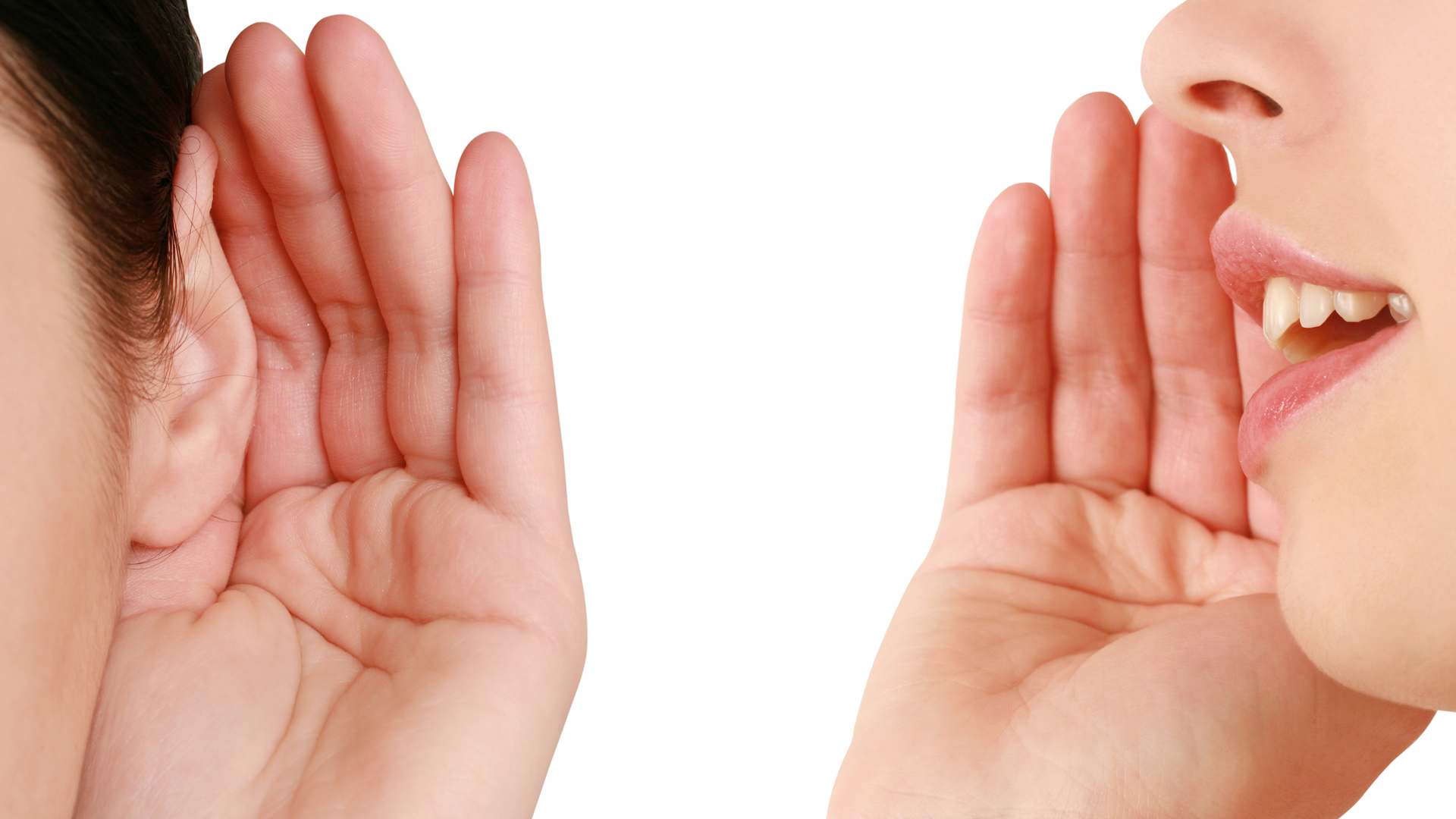 Dreamstime Xl 12520109 6362d2734e463