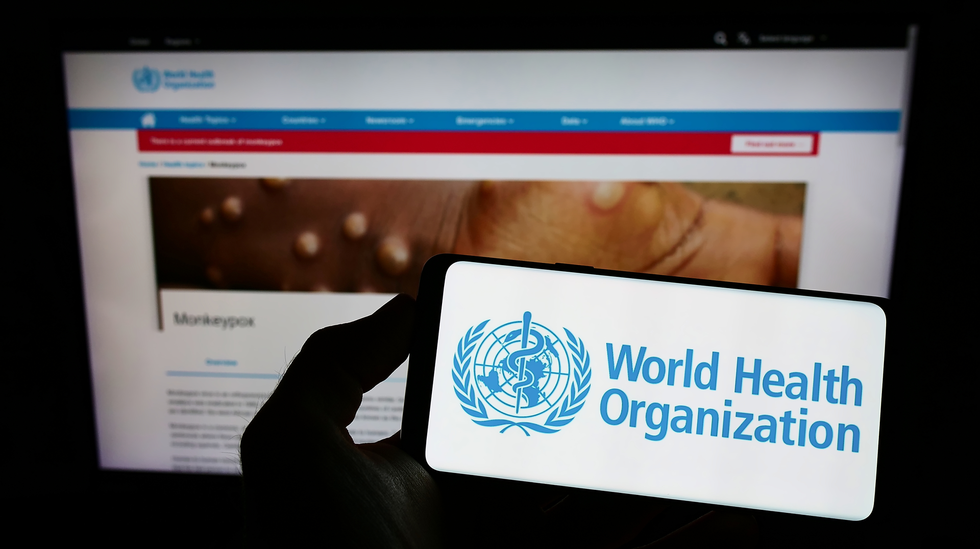 Dreamstime M 261941572 638e115023118