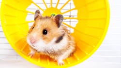 Dreamstime Xxl 72753983 639b5d236ebcc Dreamstime Xxl 72753983 639b5d236ebcc