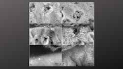 Untitled Design 35 639b617feae32 Untitled Design 35 639b617feae32