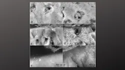 Untitled Design 35 639b617feae32 Untitled Design 35 639b617feae32